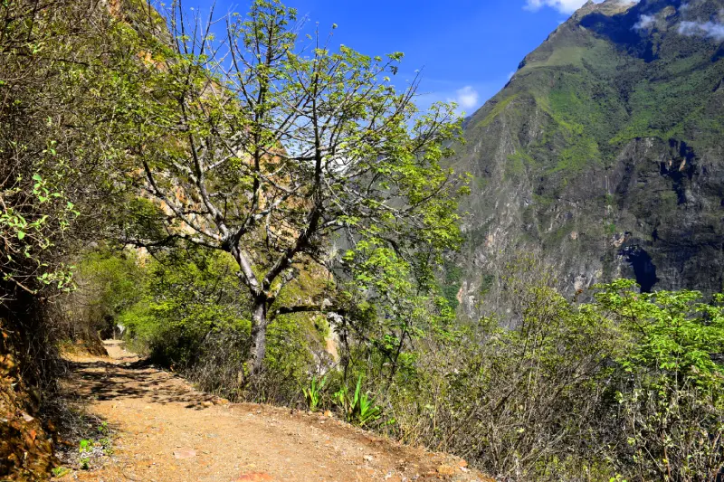 05dias-trekking-to-choquequirao-cocamasana-apurimac-peru-inkayni-peru-tours