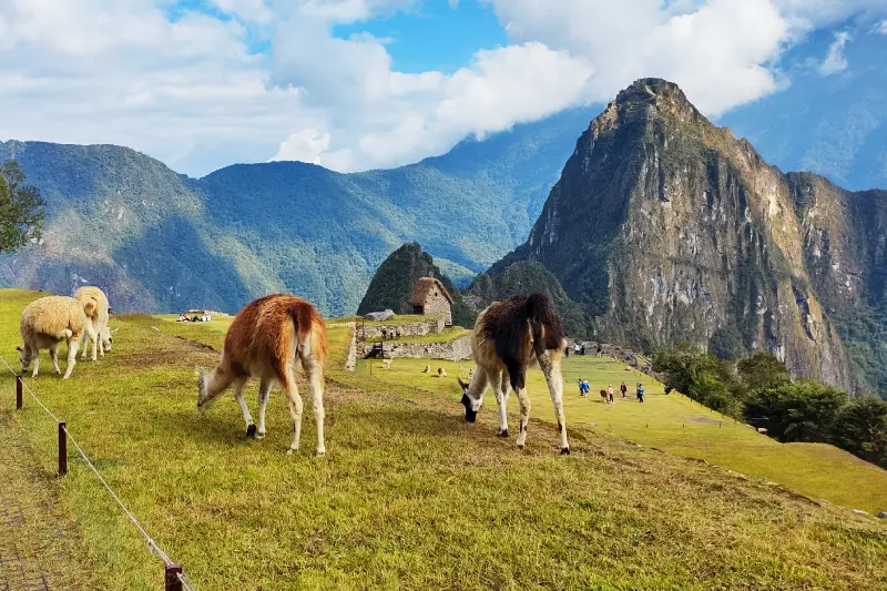 Inca Jungle adventure to Machu Picchu