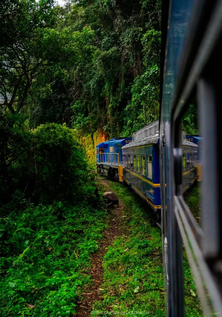 Train traveling through lush cloud forest during the return from Machu Picchu to Cusco