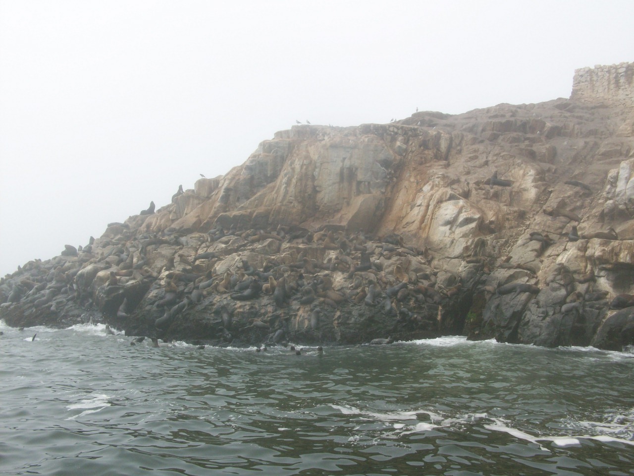 Palomino Islands & Sea Lions from Lima — journey photograph 2