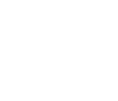 IconMachuPicchu 1