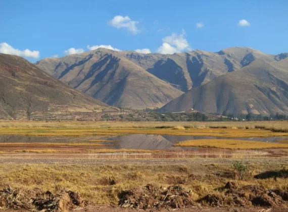 Birdwatching in Huacarpay Tour – Full Day