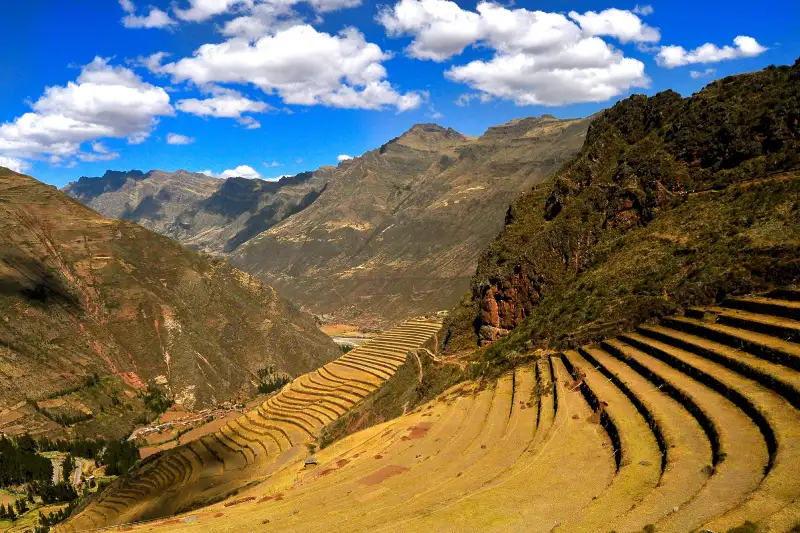 viaje-espiritual-sagrado-la-medicina-andina-wachuma-pisac-inkayni-peru-tours